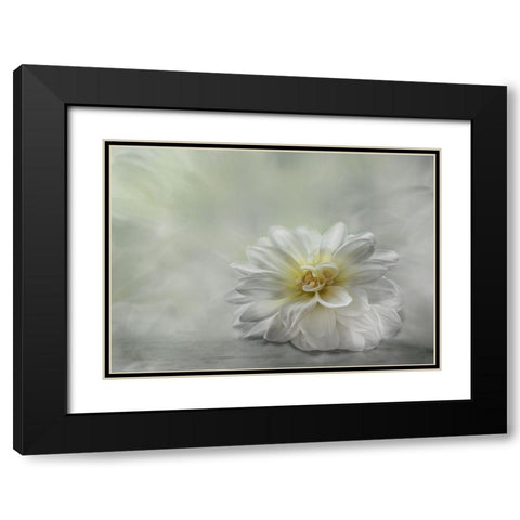 Be Kind Black Modern Wood Framed Art Print with Double Matting by Van Helden, Elisabeth