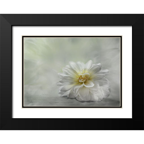 Be Kind Black Modern Wood Framed Art Print with Double Matting by Van Helden, Elisabeth