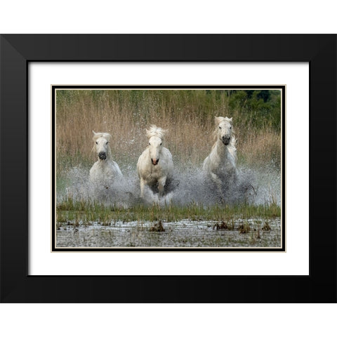 Coming in  to the dry Black Modern Wood Framed Art Print with Double Matting by Zvelebil PhD, Marketa