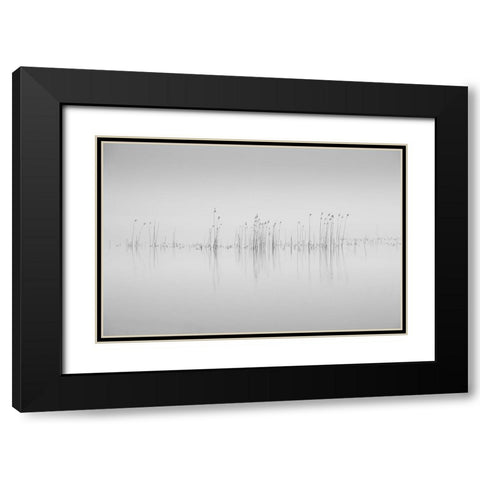Simplicity Black Modern Wood Framed Art Print with Double Matting by Pettersson, Benny