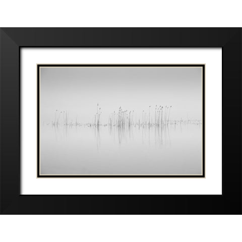 Simplicity Black Modern Wood Framed Art Print with Double Matting by Pettersson, Benny