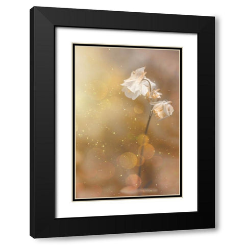 Golden Hour Black Modern Wood Framed Art Print with Double Matting by Kiral, Cicek