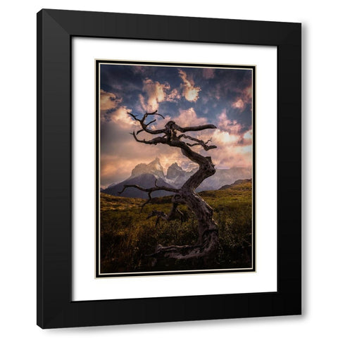 Dead Tree Black Modern Wood Framed Art Print with Double Matting by Zhang, Dennis