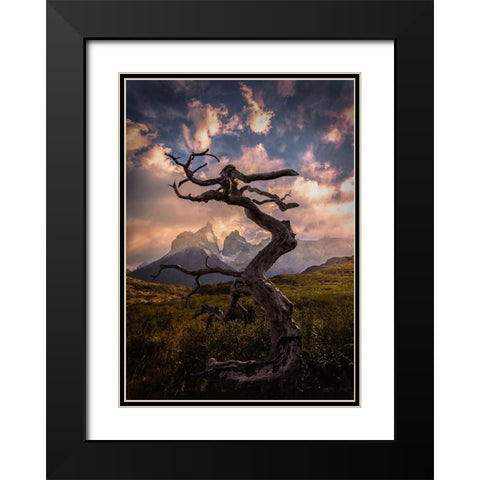Dead Tree Black Modern Wood Framed Art Print with Double Matting by Zhang, Dennis