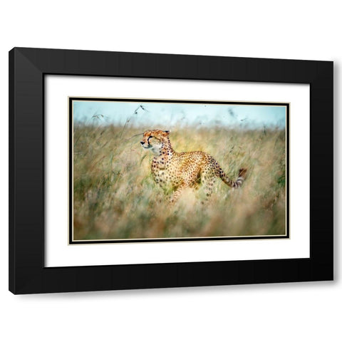 Secret Way Black Modern Wood Framed Art Print with Double Matting by Roshkumar