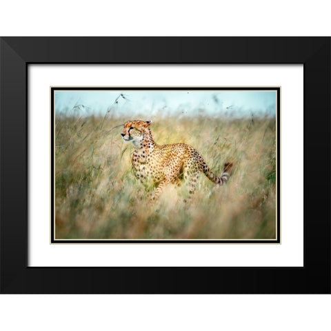 Secret Way Black Modern Wood Framed Art Print with Double Matting by Roshkumar