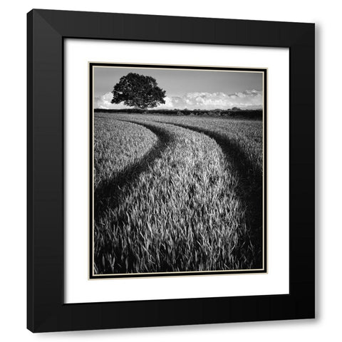 Tree at sunset Black Modern Wood Framed Art Print with Double Matting by Jones-Davies, Russell