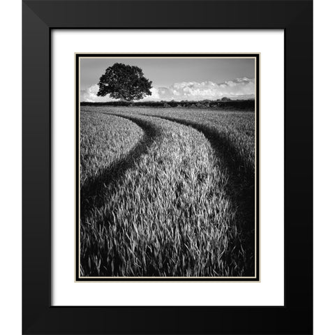 Tree at sunset Black Modern Wood Framed Art Print with Double Matting by Jones-Davies, Russell