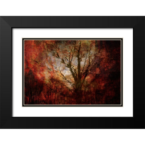 Forest on fire Black Modern Wood Framed Art Print with Double Matting by Van Krimpen, Brigitte