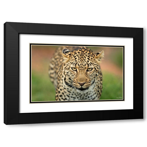 Fearless .... Black Modern Wood Framed Art Print with Double Matting by Roshkumar