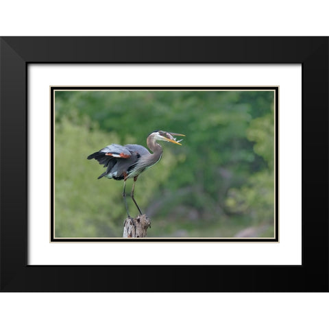 A Good Place To Enjoy The Meal Black Modern Wood Framed Art Print with Double Matting by Xu, Sheila
