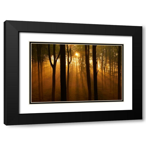Muziekbos Black Modern Wood Framed Art Print with Double Matting by Baekelandt, Luc