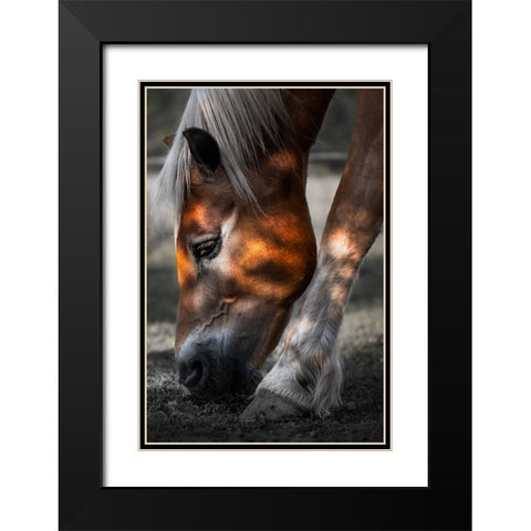 Filtered Light Black Modern Wood Framed Art Print with Double Matting by Wilson, Francis