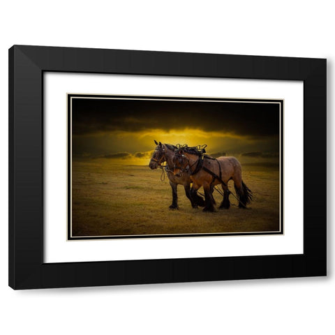 Horse III Black Modern Wood Framed Art Print with Double Matting by Philippe, Laruelle