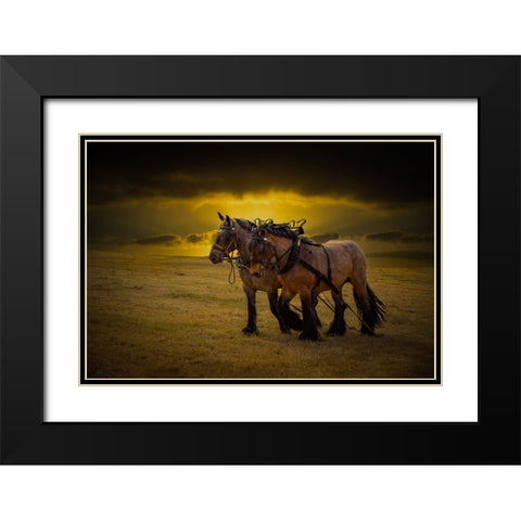 Horse III Black Modern Wood Framed Art Print with Double Matting by Philippe, Laruelle
