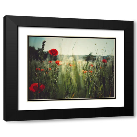 Spirit of the fields Black Modern Wood Framed Art Print with Double Matting by Margau, Delphine