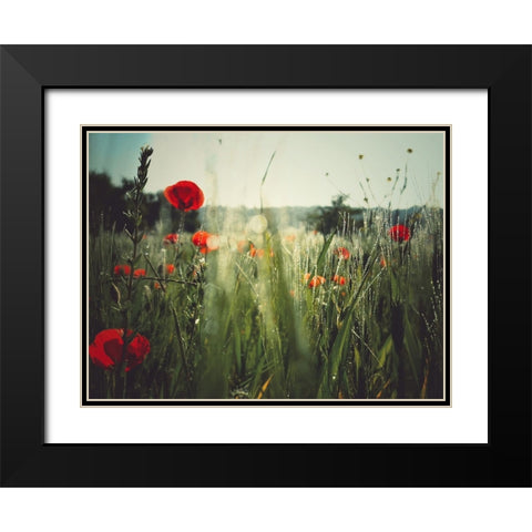 Spirit of the fields Black Modern Wood Framed Art Print with Double Matting by Margau, Delphine