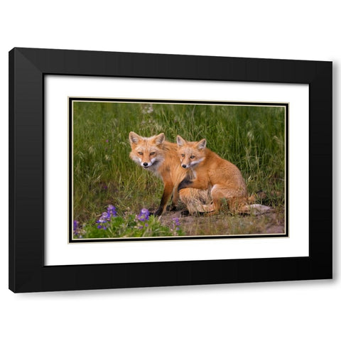 Love Black Modern Wood Framed Art Print with Double Matting by W, Joanna