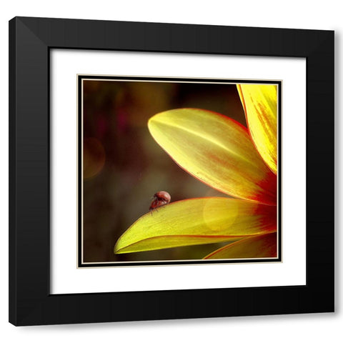 Untitled Black Modern Wood Framed Art Print with Double Matting by Cseresnjes, Anna