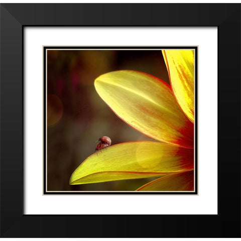 Untitled Black Modern Wood Framed Art Print with Double Matting by Cseresnjes, Anna