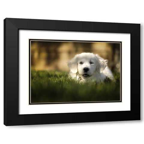 Jayda Black Modern Wood Framed Art Print with Double Matting by Heggemann, Christiane