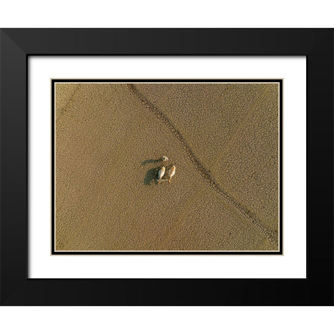 Dried Land Black Modern Wood Framed Art Print with Double Matting by Khan Ronnie, Azim