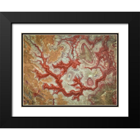 Red Dragon of The Badlands Black Modern Wood Framed Art Print with Double Matting by Zheng, Michael