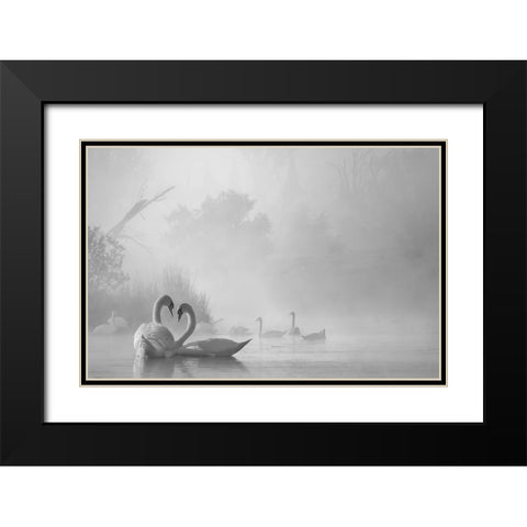 morning fog on swan lake Black Modern Wood Framed Art Print with Double Matting by Liu, Dawei