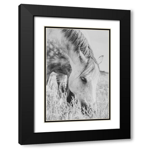 stallion Black Modern Wood Framed Art Print with Double Matting by De Jong, Arendina