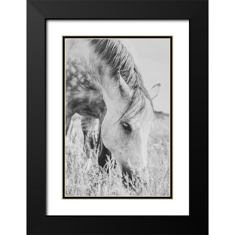 stallion Black Modern Wood Framed Art Print with Double Matting by De Jong, Arendina