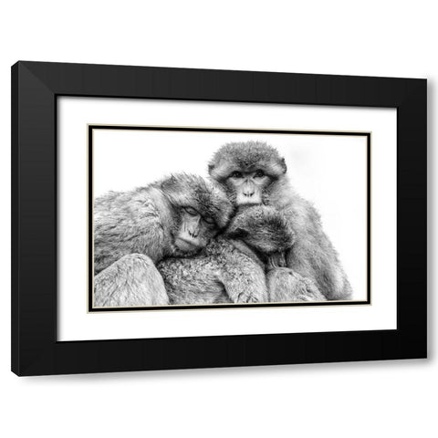 Keep together Black Modern Wood Framed Art Print with Double Matting by de Jong, Arendina