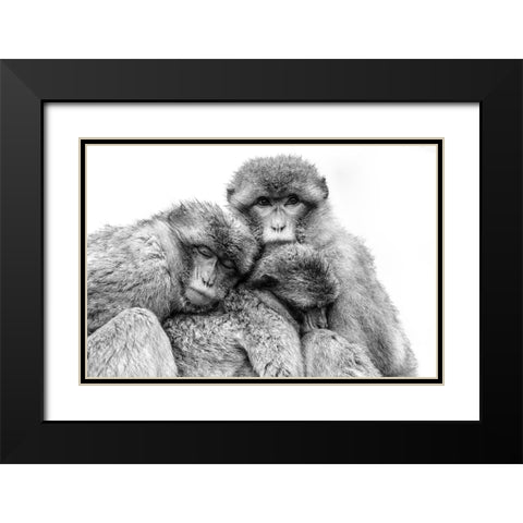 Keep together Black Modern Wood Framed Art Print with Double Matting by de Jong, Arendina