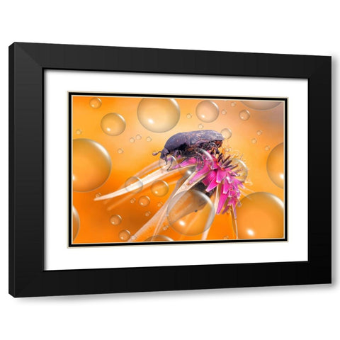 Heat Wave... Black Modern Wood Framed Art Print with Double Matting by Dufour, Thierry