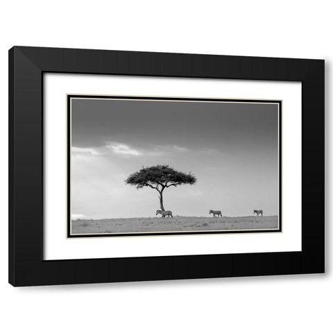 Zebra And Tree Black Modern Wood Framed Art Print with Double Matting by Li, Min