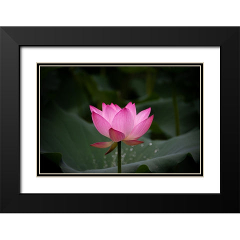 Untitled Black Modern Wood Framed Art Print with Double Matting by Song, Yunarto