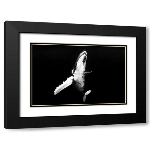 Whale season Black Modern Wood Framed Art Print with Double Matting by Melesan, Serge
