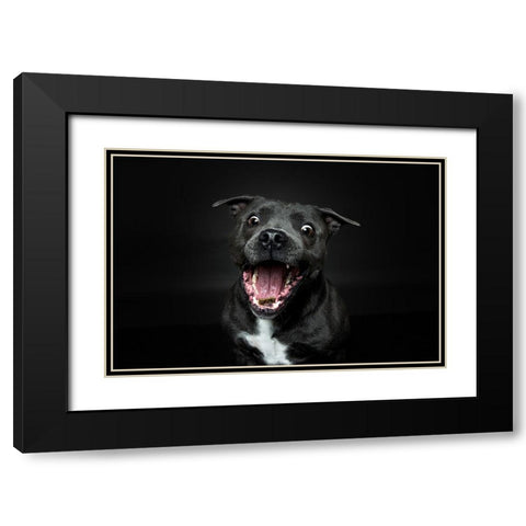 Incoming Black Modern Wood Framed Art Print with Double Matting by Irene Sattrup, Dorte