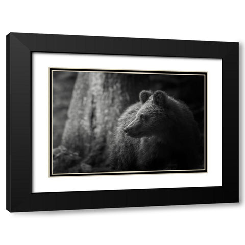 Last light Black Modern Wood Framed Art Print with Double Matting by Venier, Giovanni