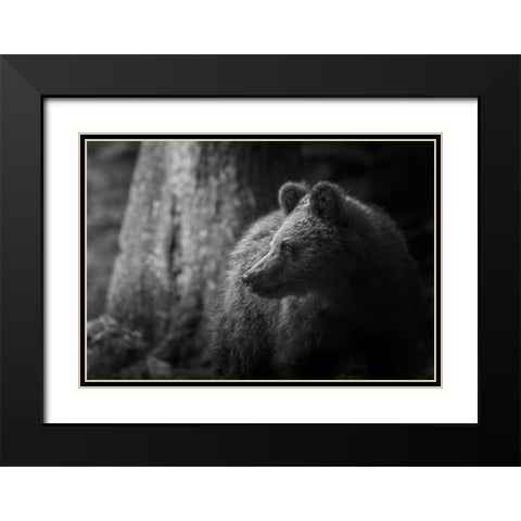 Last light Black Modern Wood Framed Art Print with Double Matting by Venier, Giovanni