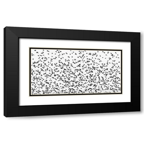 stars Black Modern Wood Framed Art Print with Double Matting by Hermann, Uschi