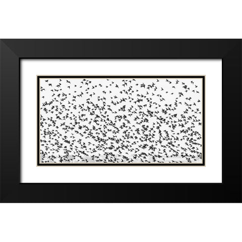 stars Black Modern Wood Framed Art Print with Double Matting by Hermann, Uschi