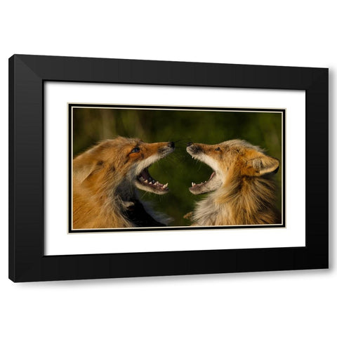 Singing Black Modern Wood Framed Art Print with Double Matting by W, Joanna