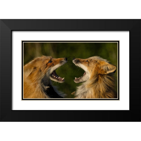 Singing Black Modern Wood Framed Art Print with Double Matting by W, Joanna