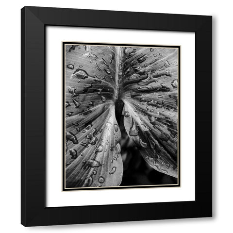Leafy Looks Black Modern Wood Framed Art Print with Double Matting by Allen, Elizabeth
