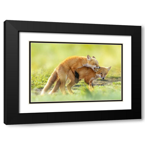 AnÂ‰AeÂˆÂ Black Modern Wood Framed Art Print with Double Matting by Fengying Long