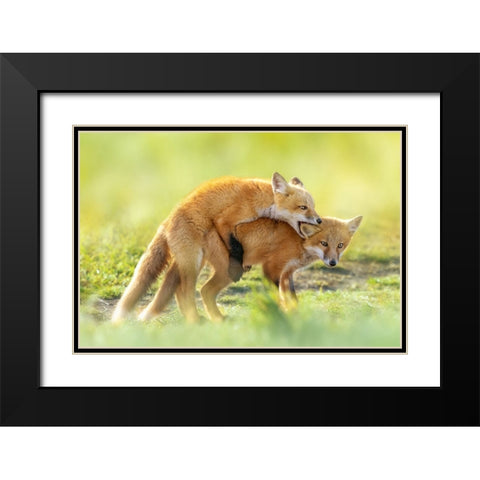 AnÂ‰AeÂˆÂ Black Modern Wood Framed Art Print with Double Matting by Fengying Long