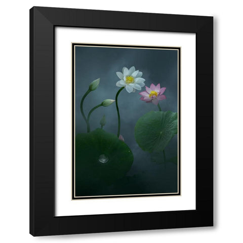 Lotus Black Modern Wood Framed Art Print with Double Matting by Ye, Ningyun