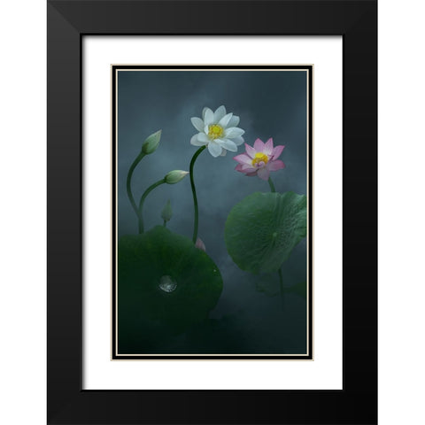 Lotus Black Modern Wood Framed Art Print with Double Matting by Ye, Ningyun
