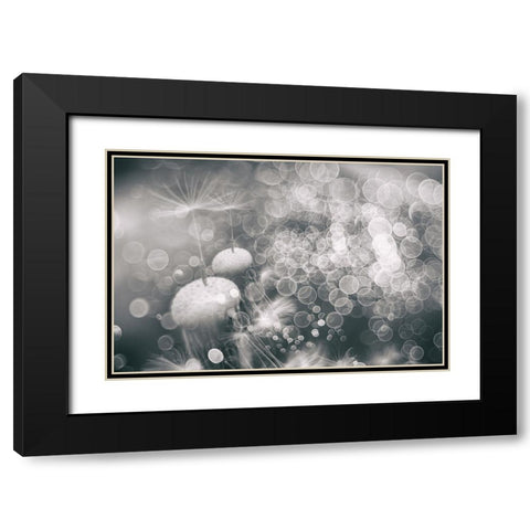 Extravaganza Black Modern Wood Framed Art Print with Double Matting by Kopcev, Igor