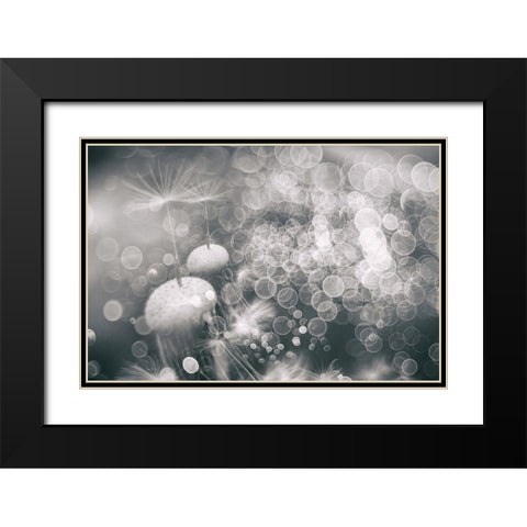 Extravaganza Black Modern Wood Framed Art Print with Double Matting by Kopcev, Igor